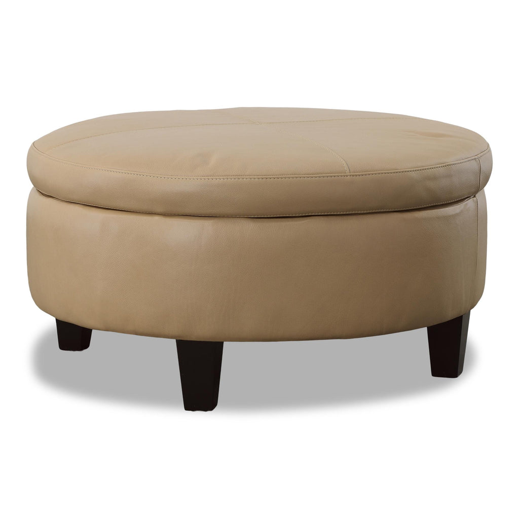 Cheney Leather Storage Ottoman - Indoor