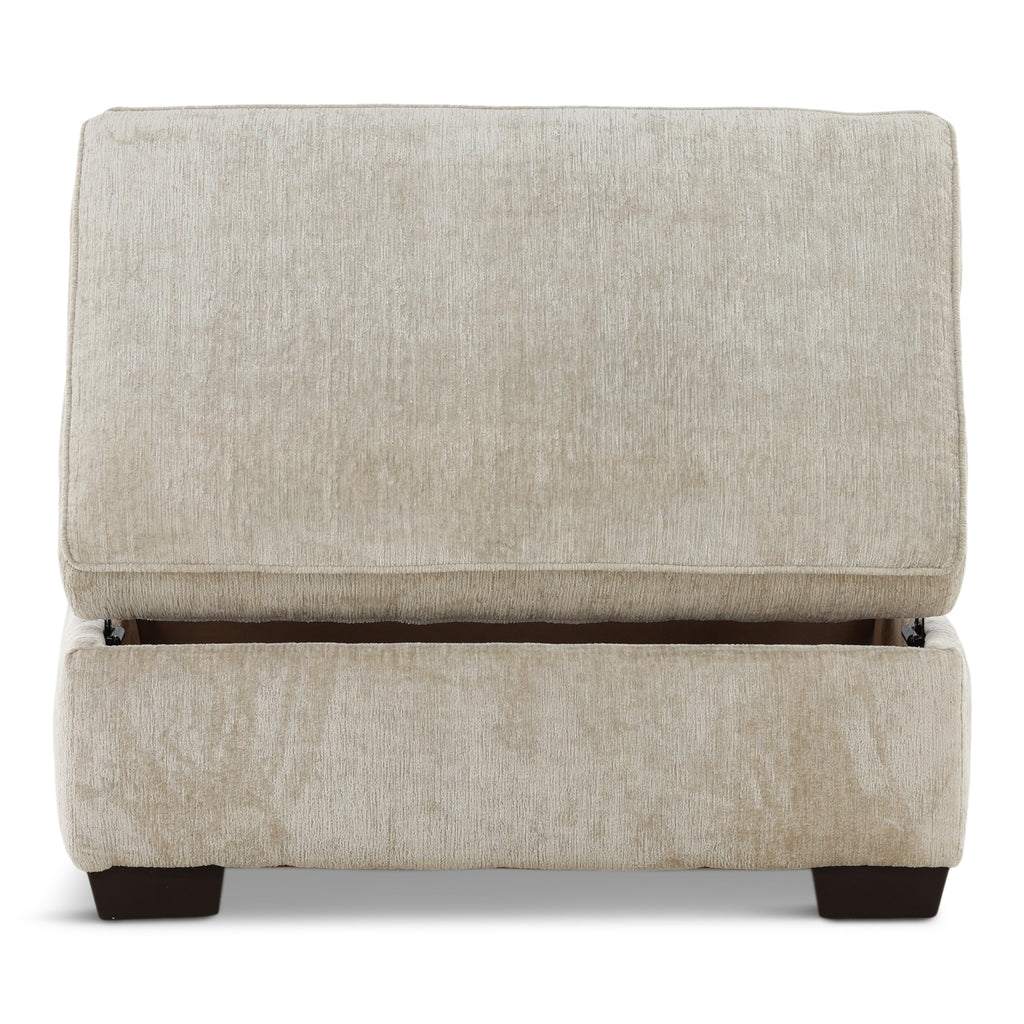 Carrington Storage ottoman - Indoor