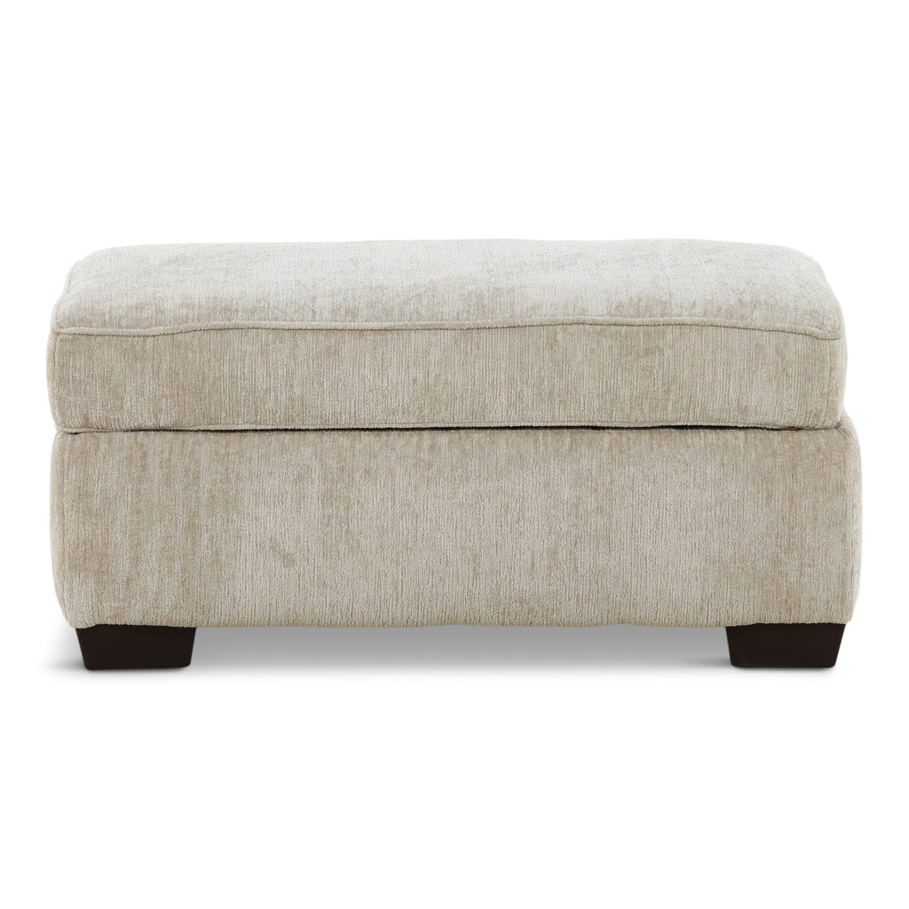 Carrington Storage ottoman - Indoor