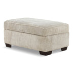 Carrington Storage ottoman - Indoor