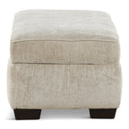 Carrington Storage ottoman - Indoor