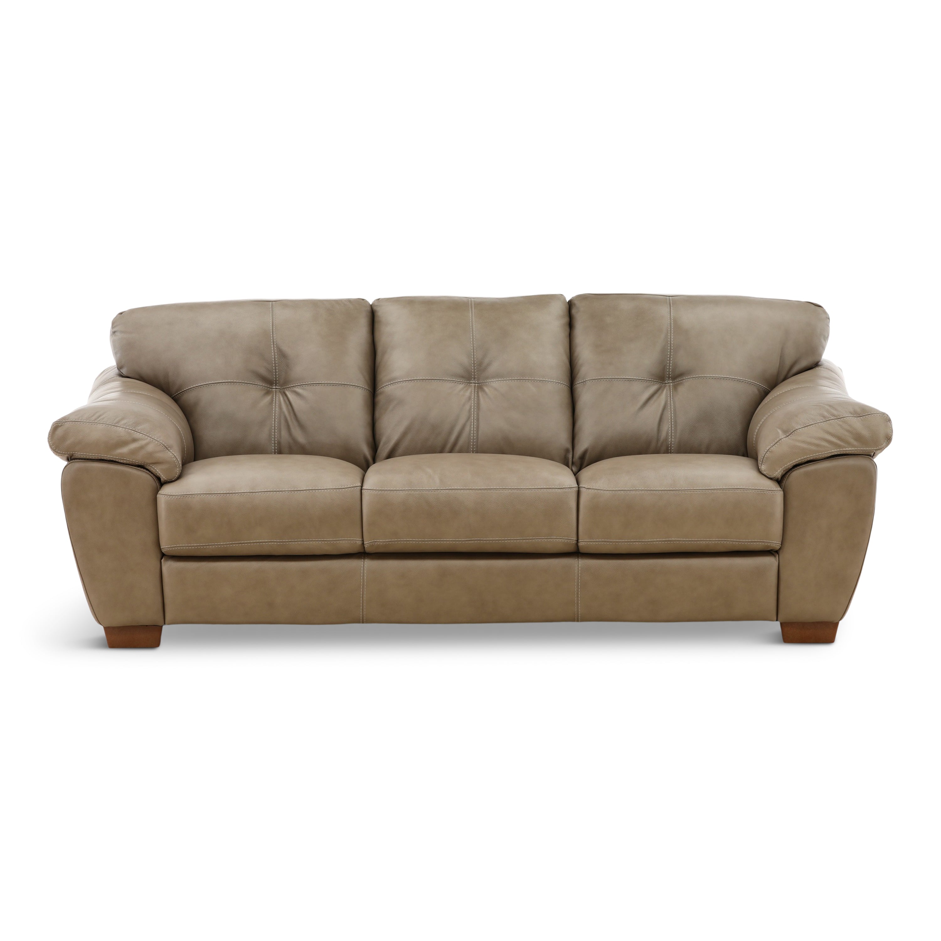 Camy Leather Sofa - Indoor