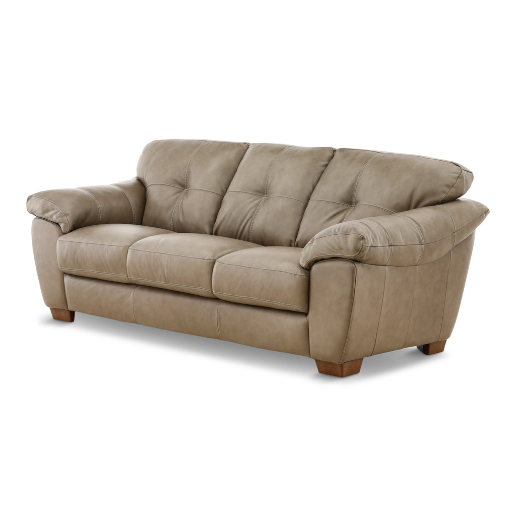 Camy Leather Sofa - Indoor