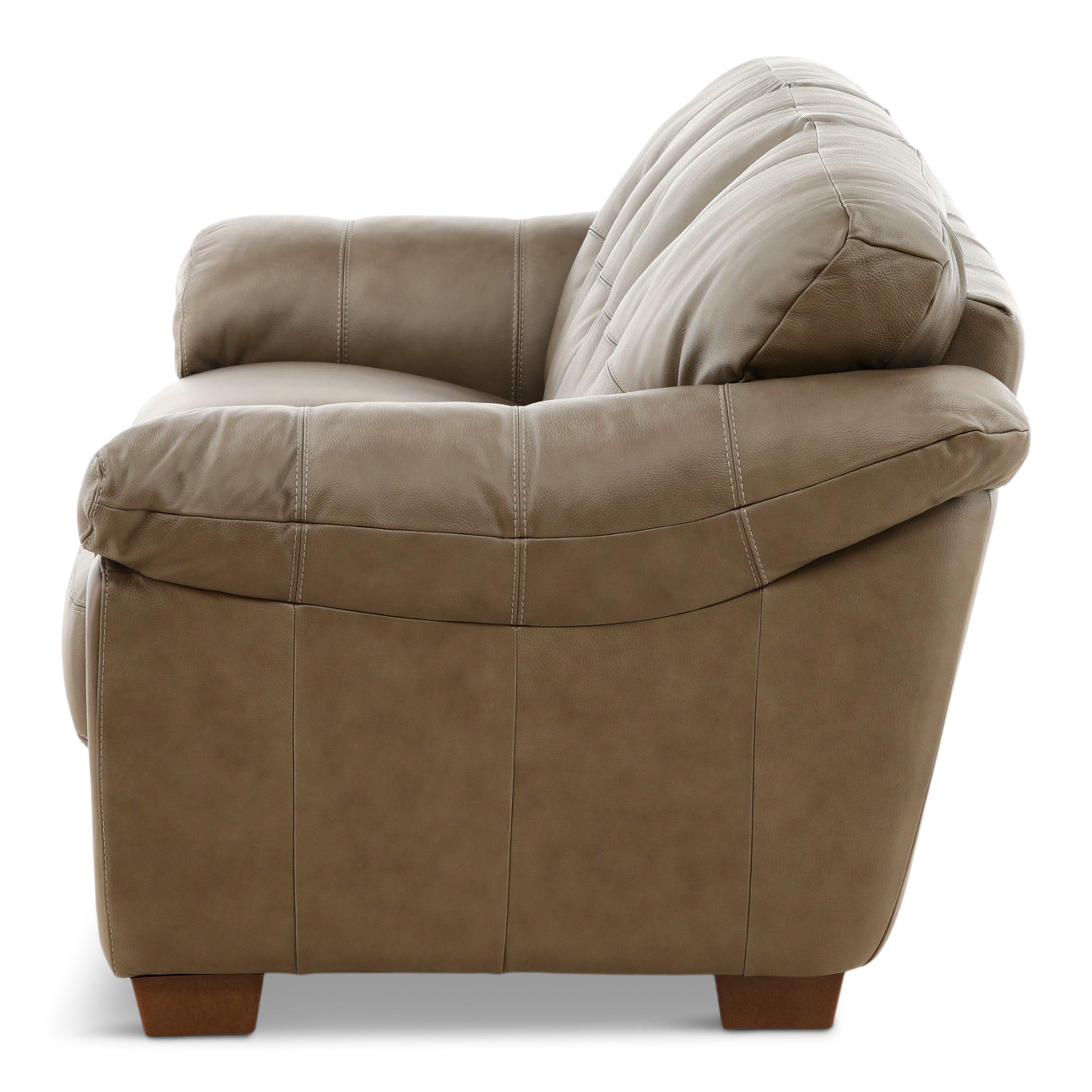 Camy Leather Sofa - Indoor