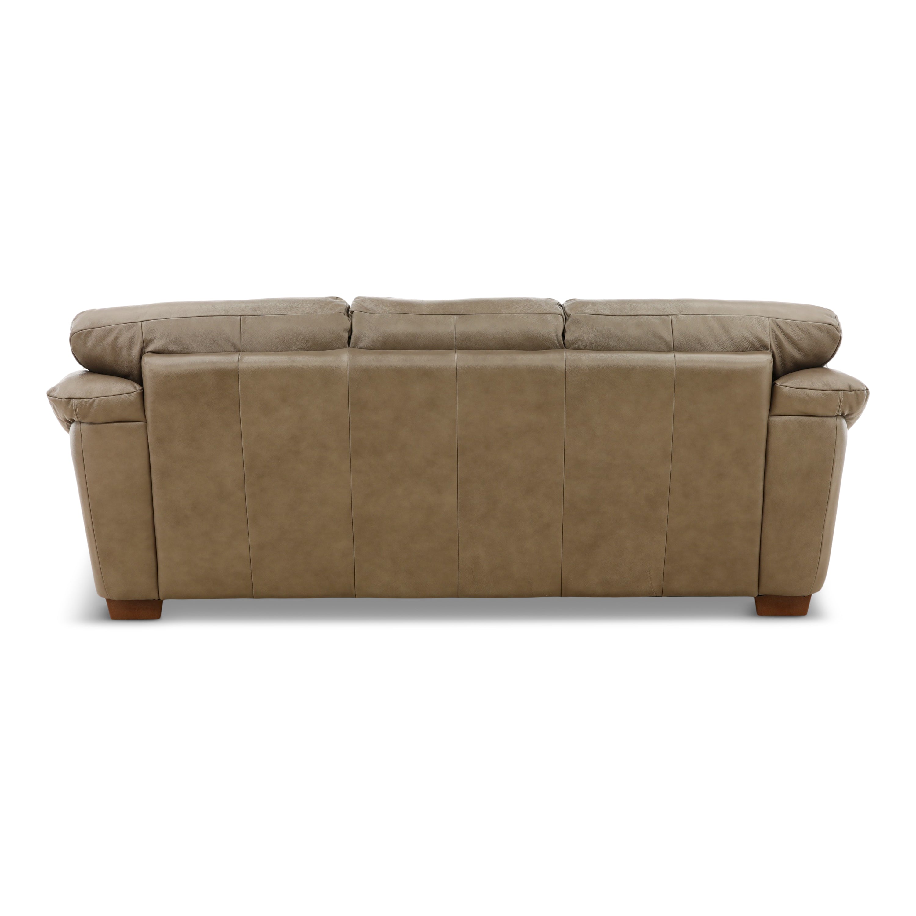 Camy Leather Sofa - Indoor
