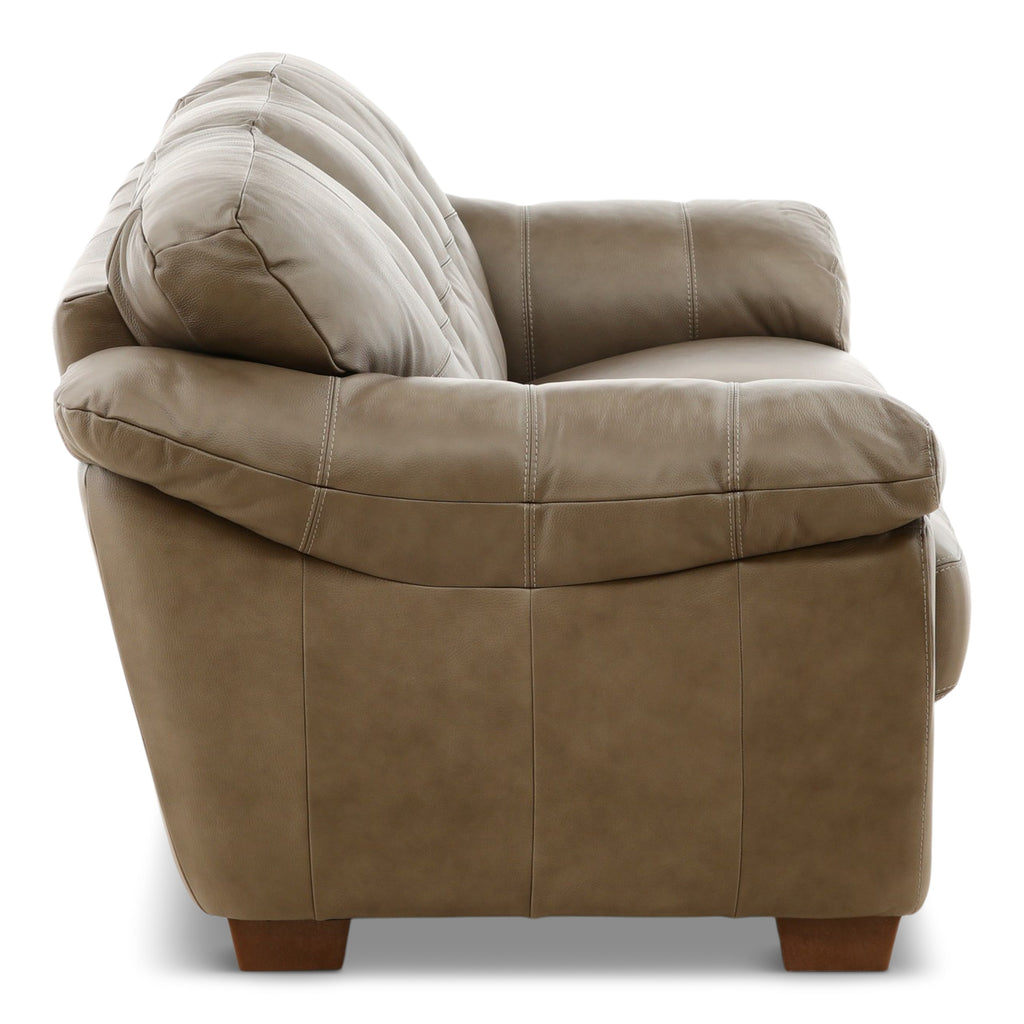 Camy Leather Sofa - Indoor