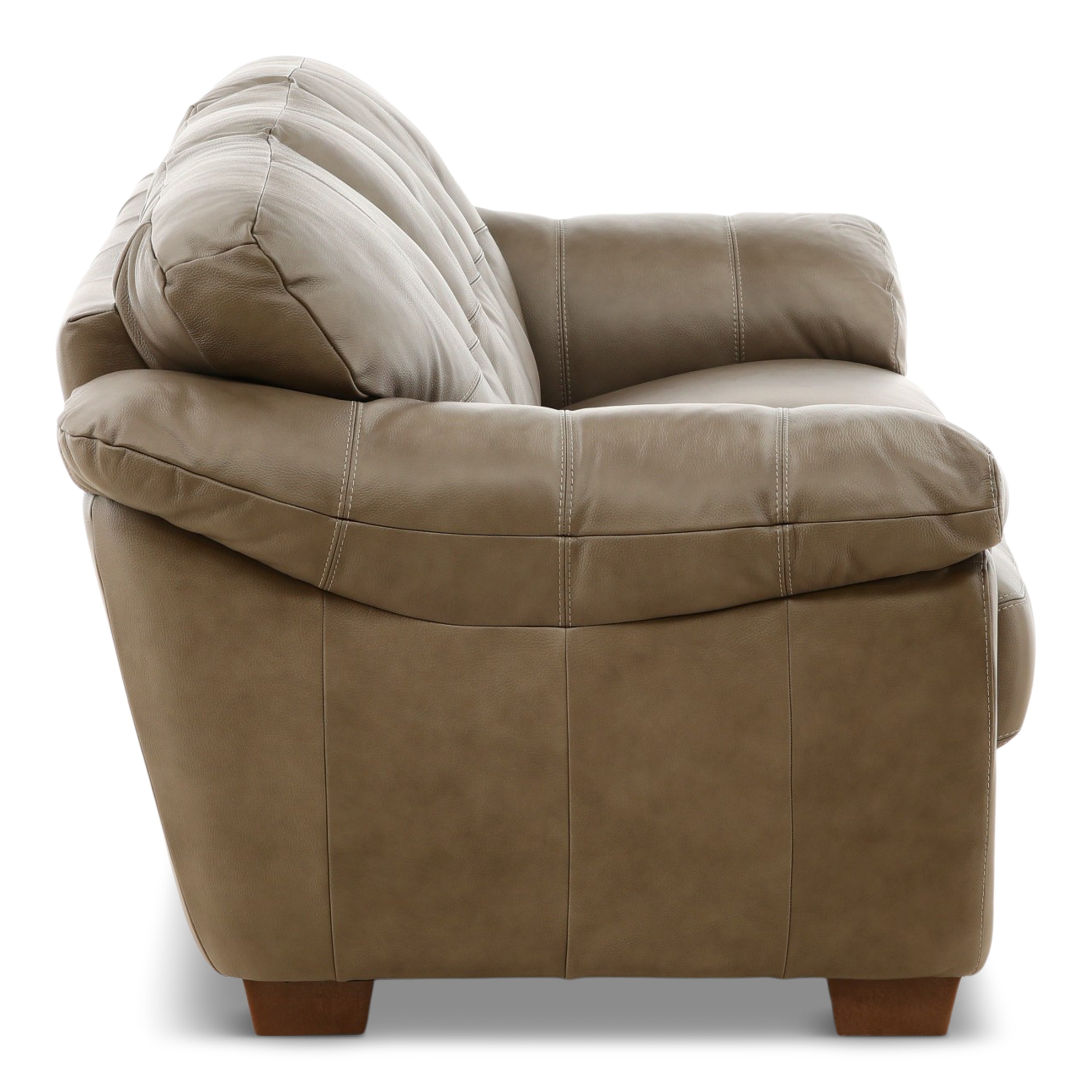 Camy Leather Sofa - Indoor