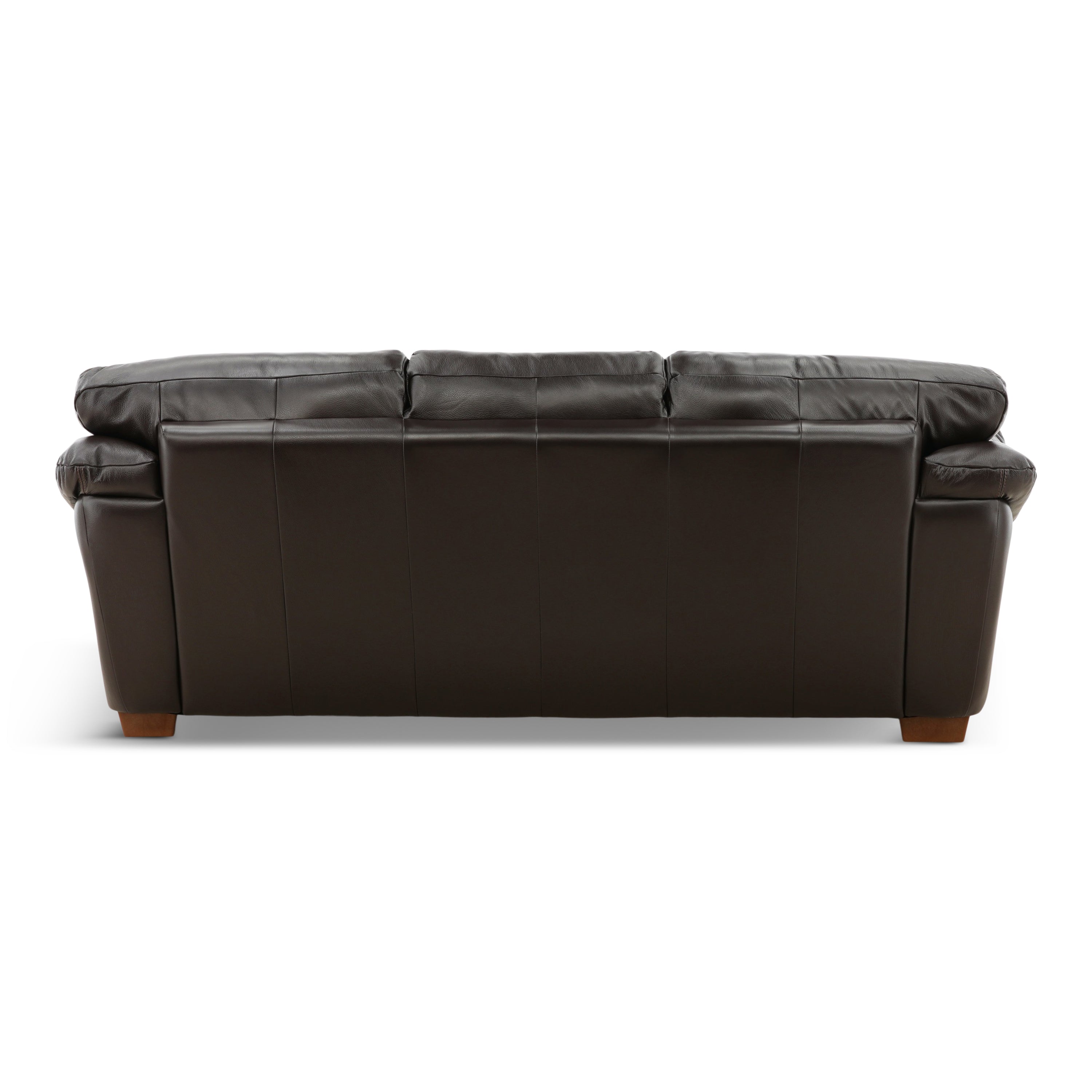 Camy Leather Sofa - Indoor