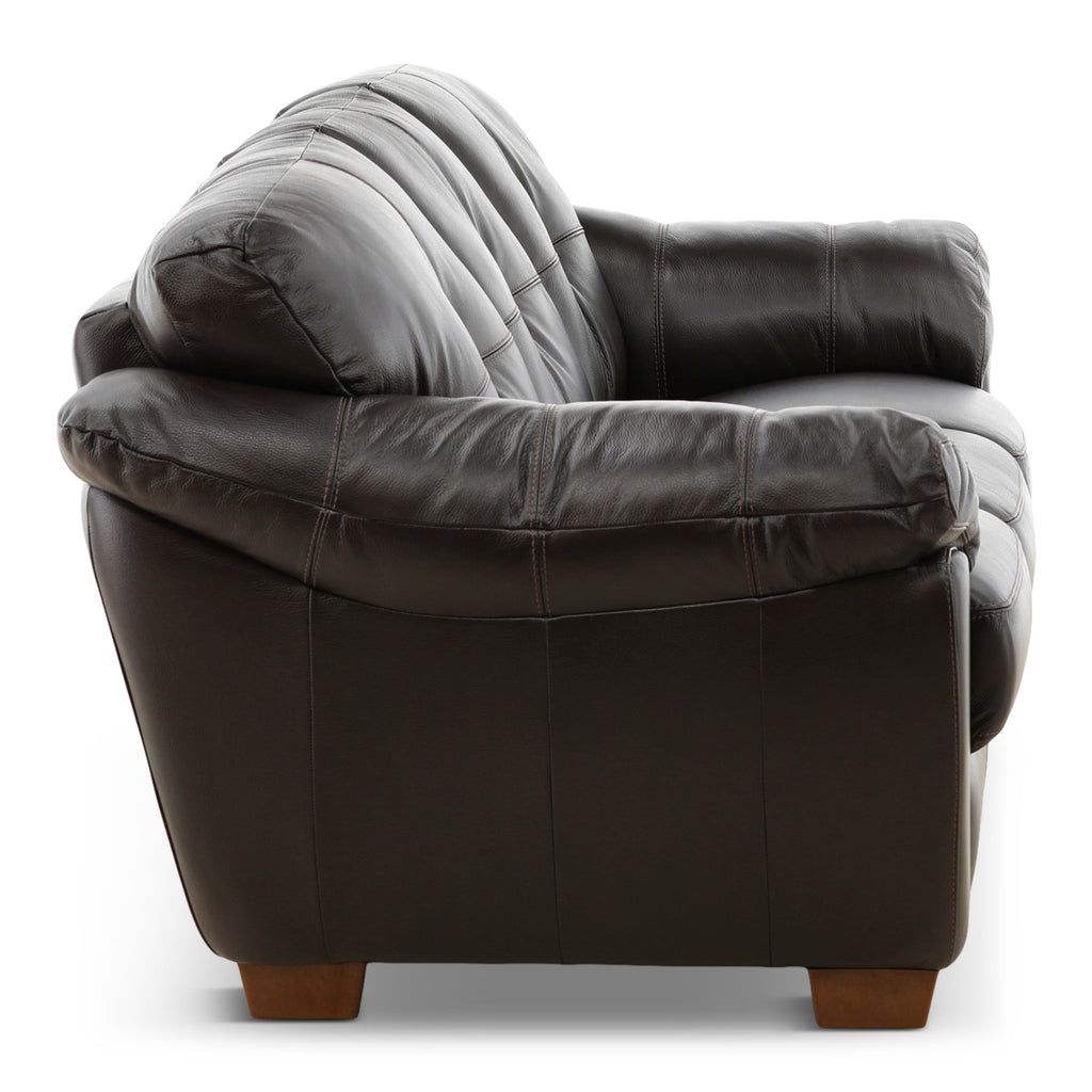 Camy Leather Sofa - Indoor