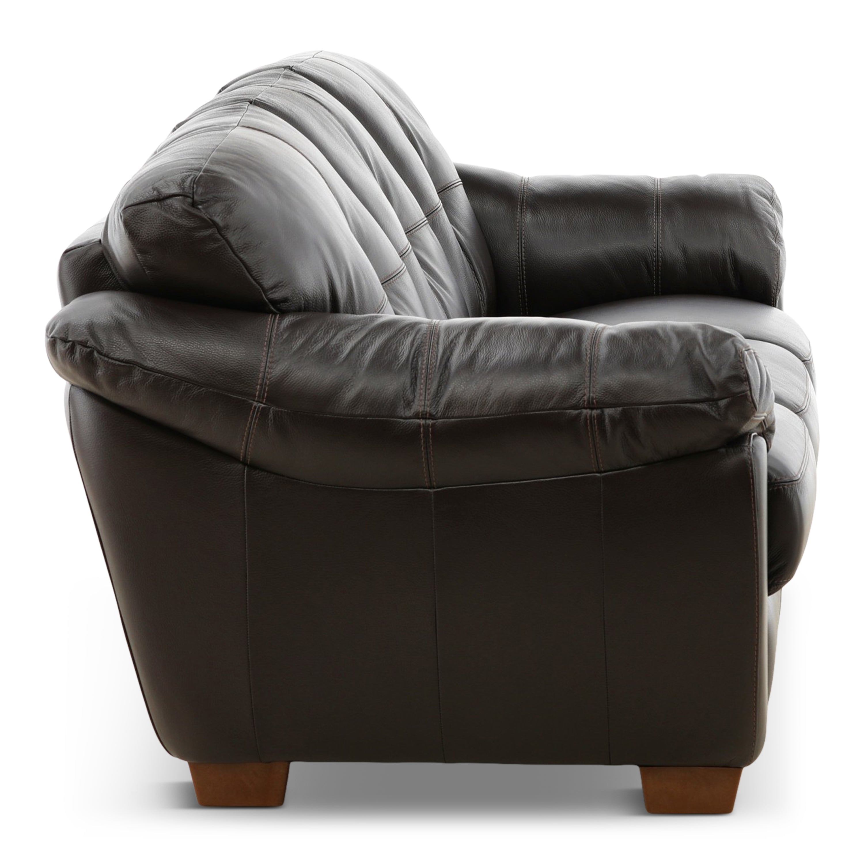 Camy Leather Sofa - Indoor