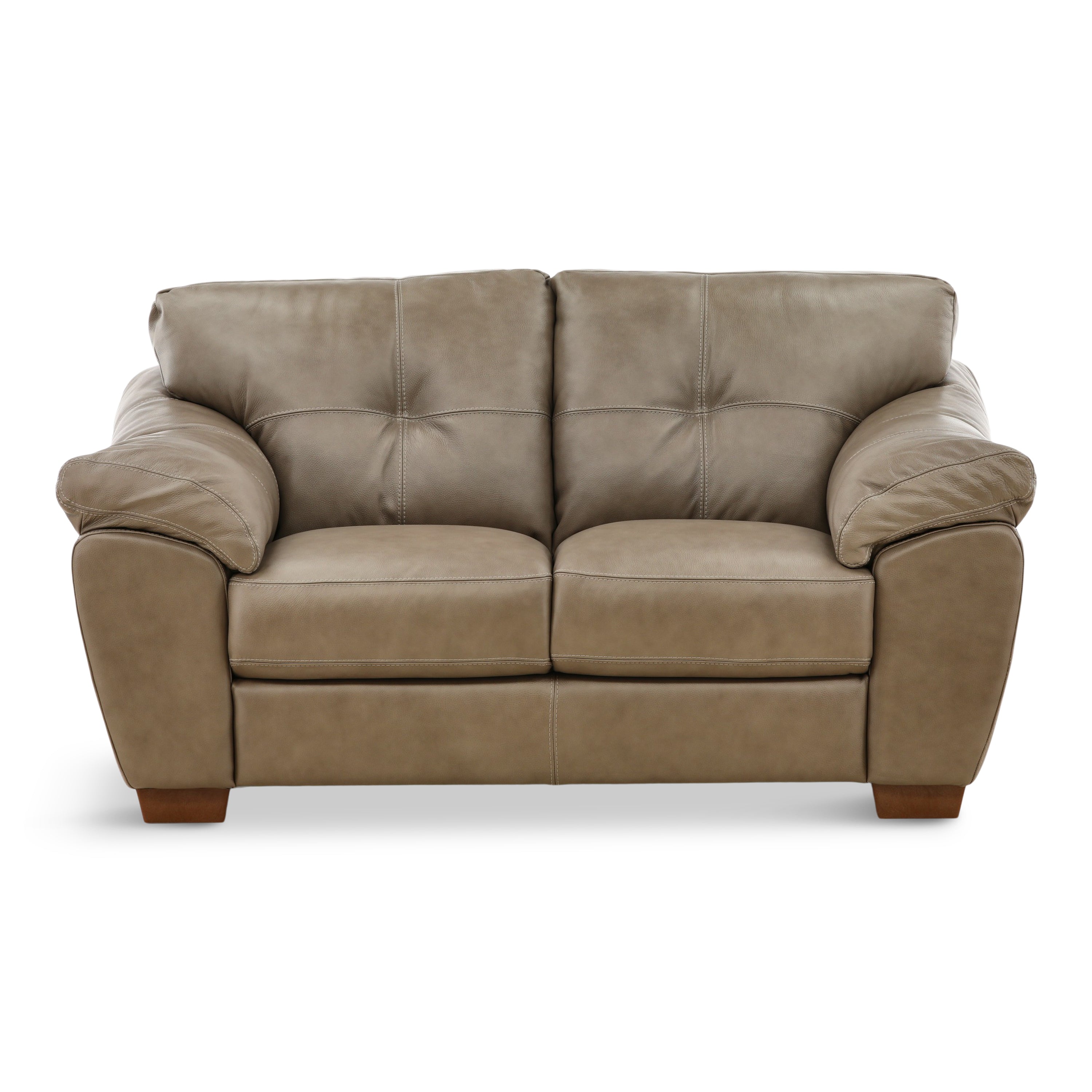 Camy Leather Loveseat - Indoor