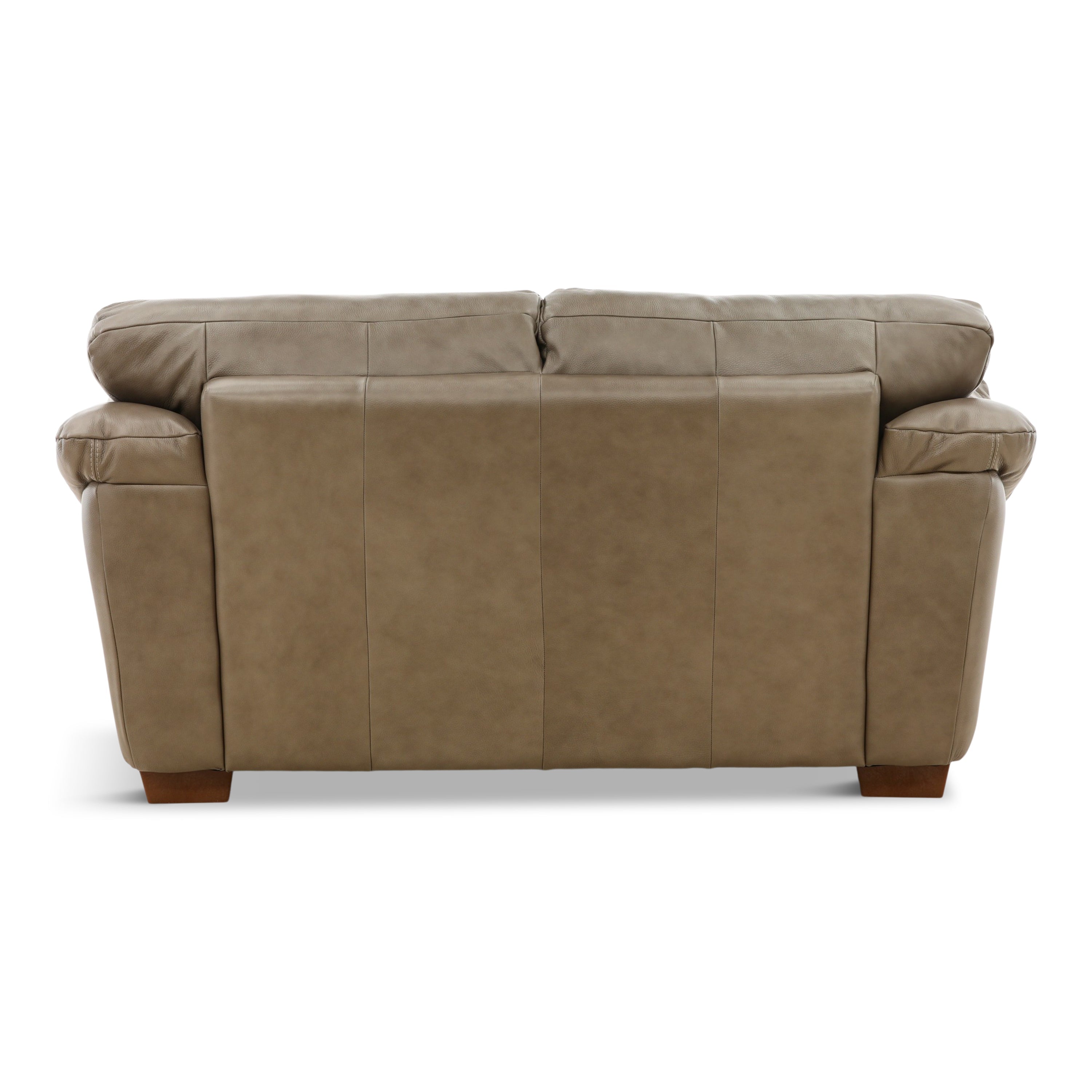 Camy Leather Loveseat - Indoor