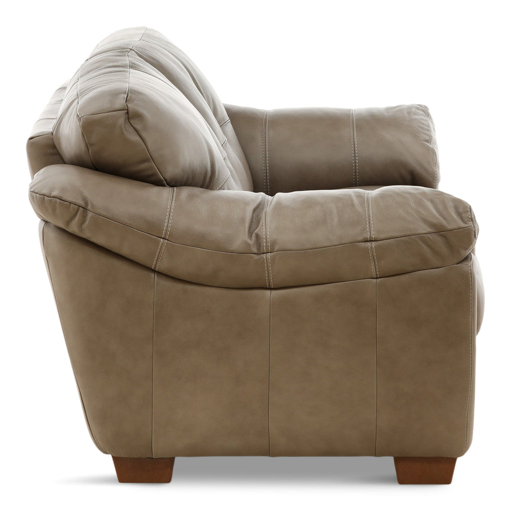 Camy Leather Loveseat - Indoor