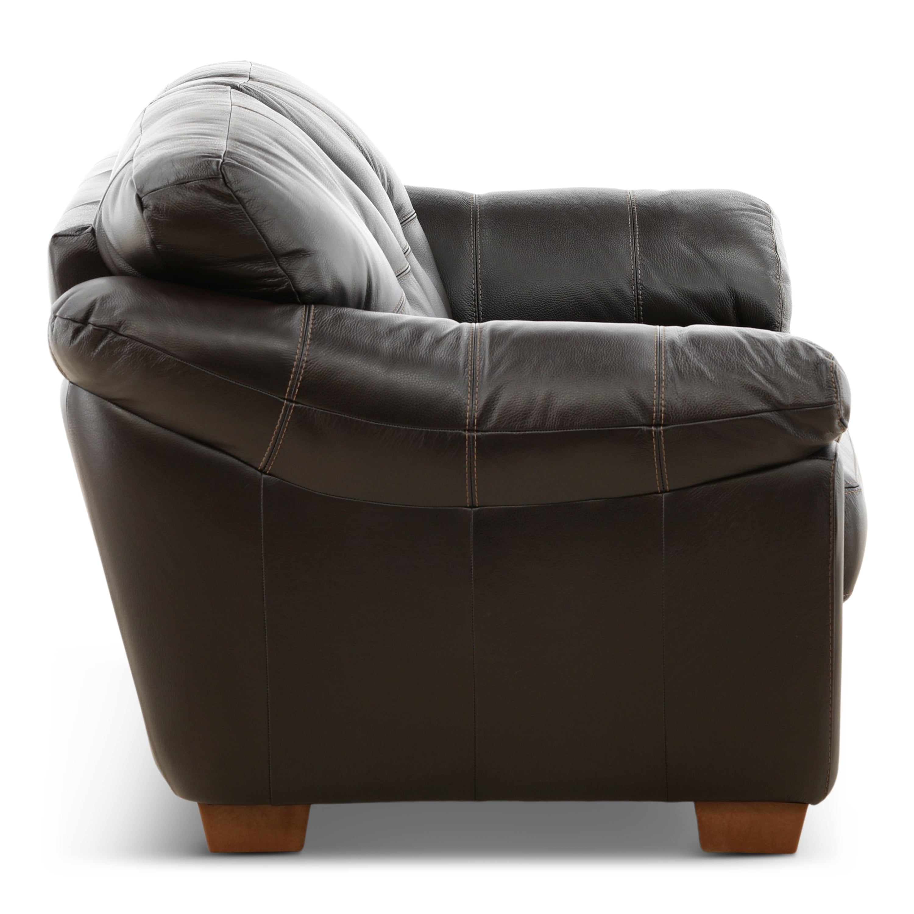 Camy Leather Loveseat - Indoor