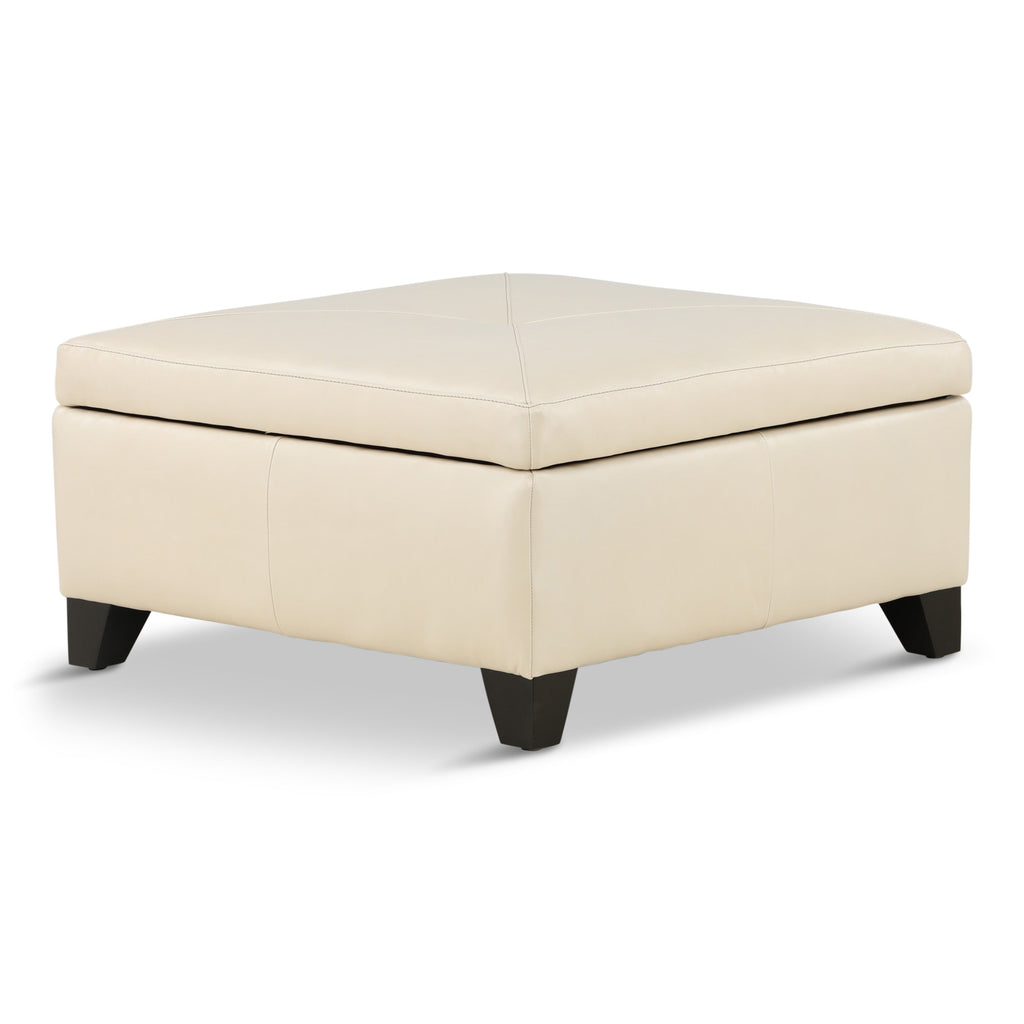 Marseille Leather Storage Ottoman with Throw Pillows