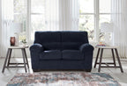 SimpleJoy Loveseat - Indoor