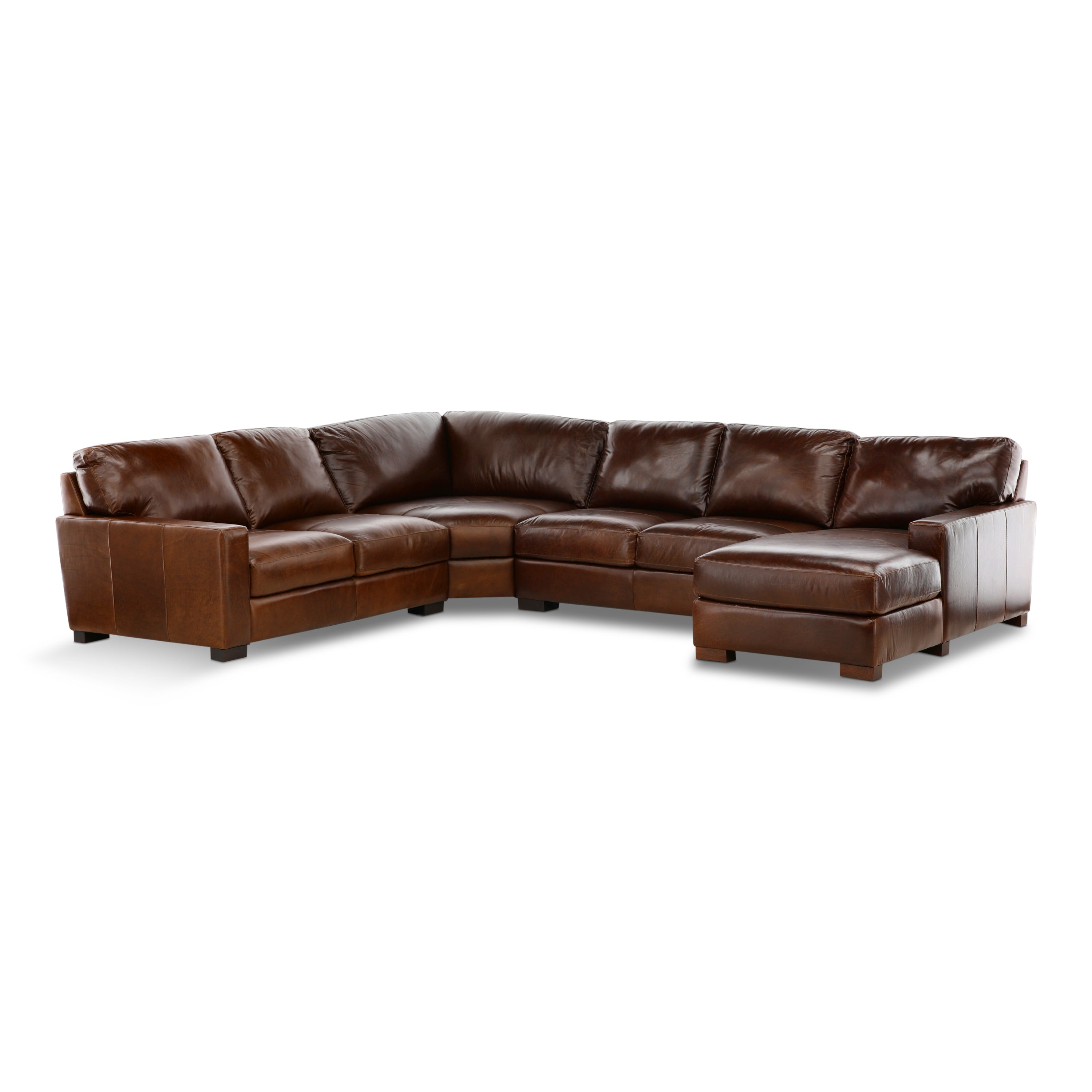 Riccardo Leather 4-Piece Sectional with Chaise