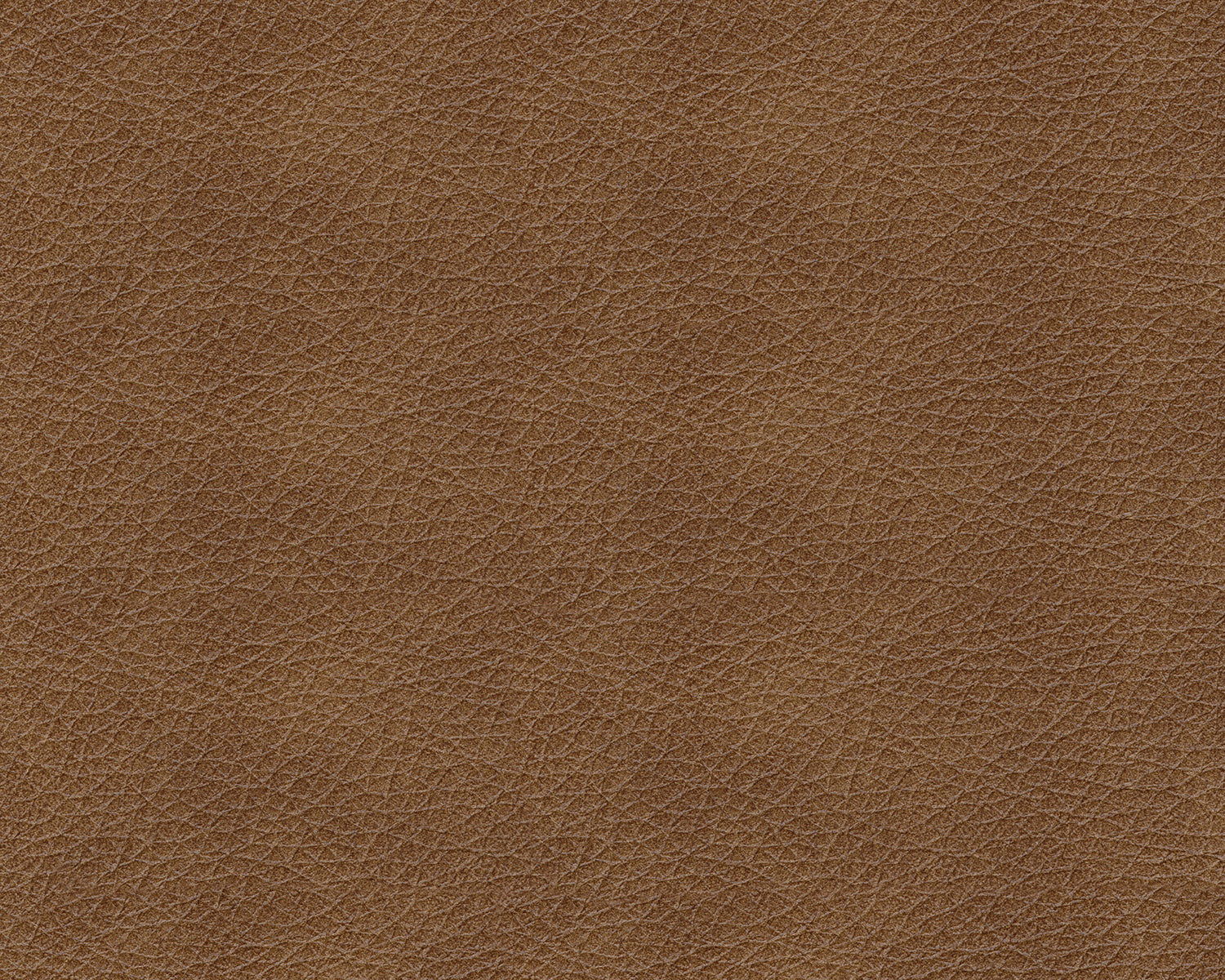 Trasimeno Power Reclining Sofa